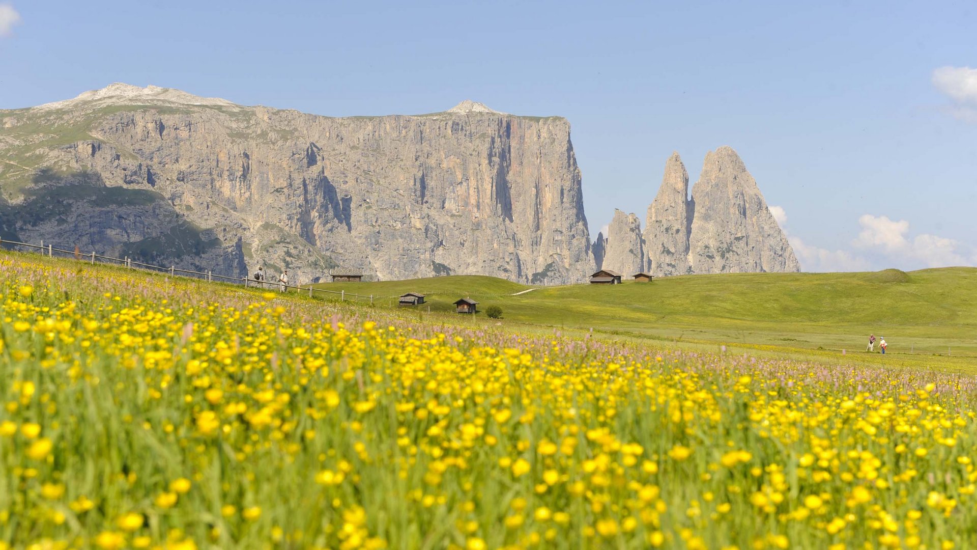 Paragleiten auf der Seiser Alm Paragleiten auf der Seiser Alm